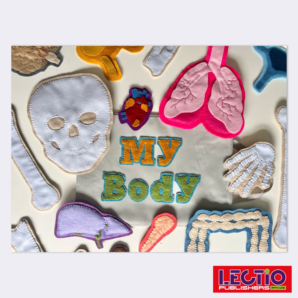 Human Anatomy Learning Aid